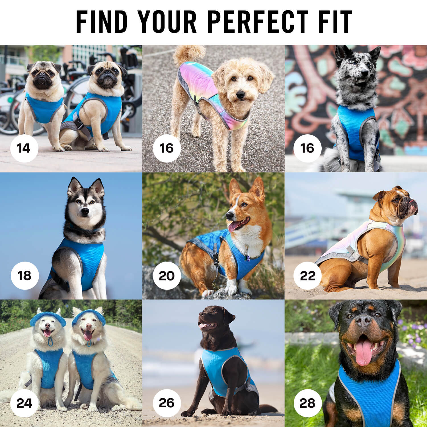 Product image 31